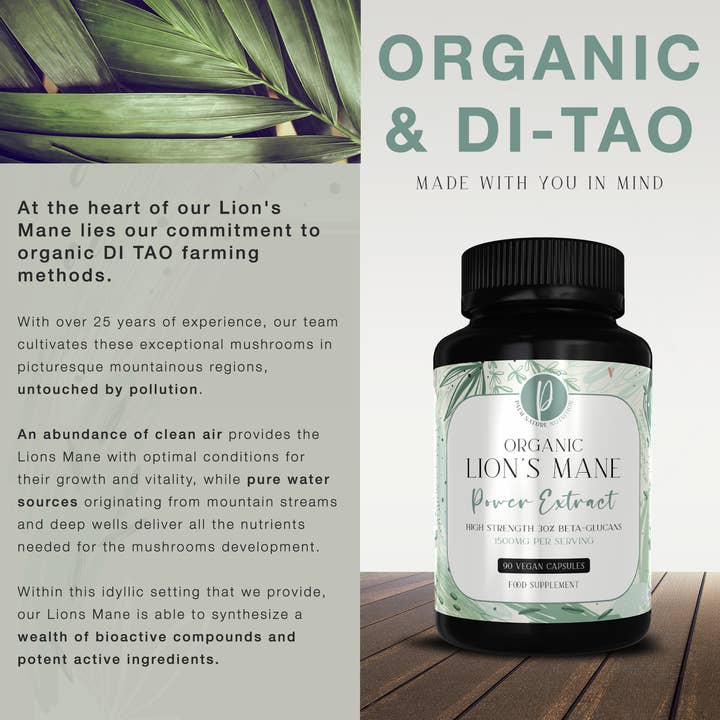 Palm Nature - Wholesale Oral Supplement/Vitamin - Organic Lions Mane Power Extract