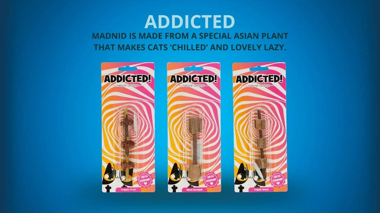 Hofman Animal Care - Vendita all'ingrosso Giocattolo - Gatti - Gioco per gatti Verslaafd con bruco e piume4