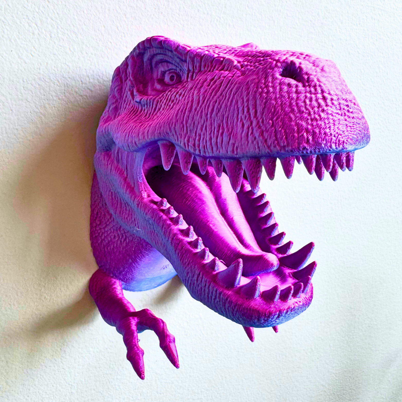 Dragon Fidgets – Großhandel Wanddeko - Kind & Baby – T-Rex Zubehörhalter zur Wandmontage9