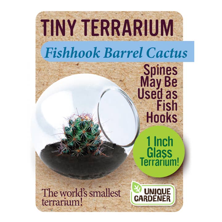 Silver Circle Products - Wholesale Retailer Display - Home & Living - Tiny Terrarium Cactus Counter Display with 6 Varieties5
