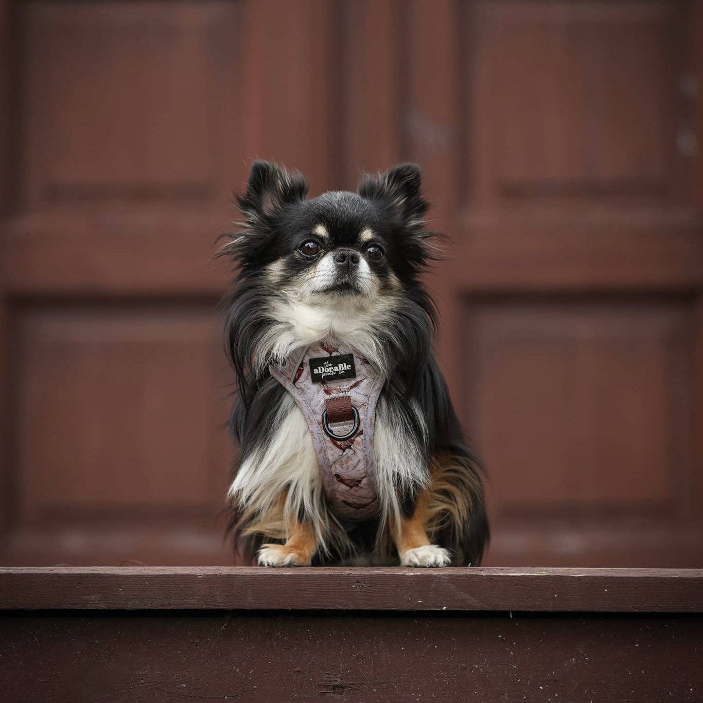 The aDoraBle Pooch Company - Wholesale Tuig voor huisdieren - Hond - Hike & Go™ Harnas - Farmland Fazant7