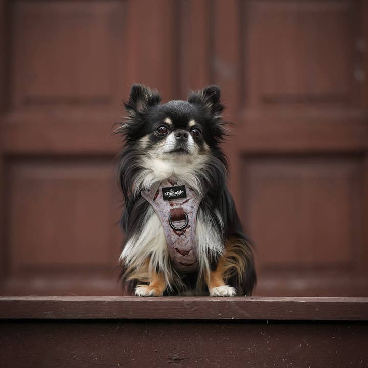 The aDoraBle Pooch Company - Wholesale Pet harness – Dog - Hike & Go™ Harness - Farmland Pheasant7