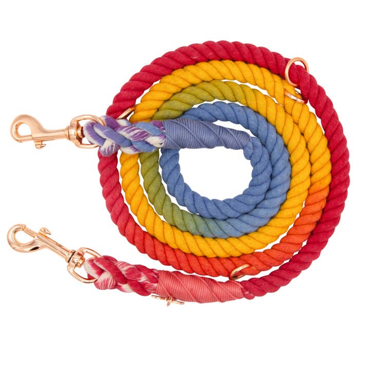 Hands Free Rope Leash - Taste the Rainbow for wholesale by SASSY WOOF