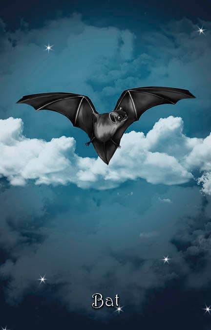 REDFeather - Wholesale Tarot Cards - The Witch's Oracle, 2nd Edition10