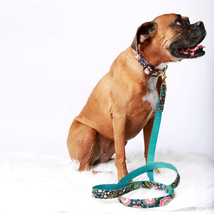 Mimi Green – wholesale Hundkoppel - Hund – Midge Canvas 70's inspirerad hund koppel3