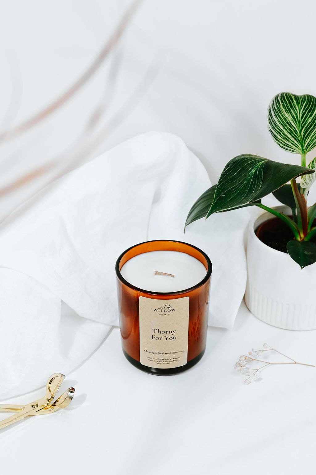 Wilde Willow Candle Co - Wholesale Jar/Filled Candle - Thorny For You1