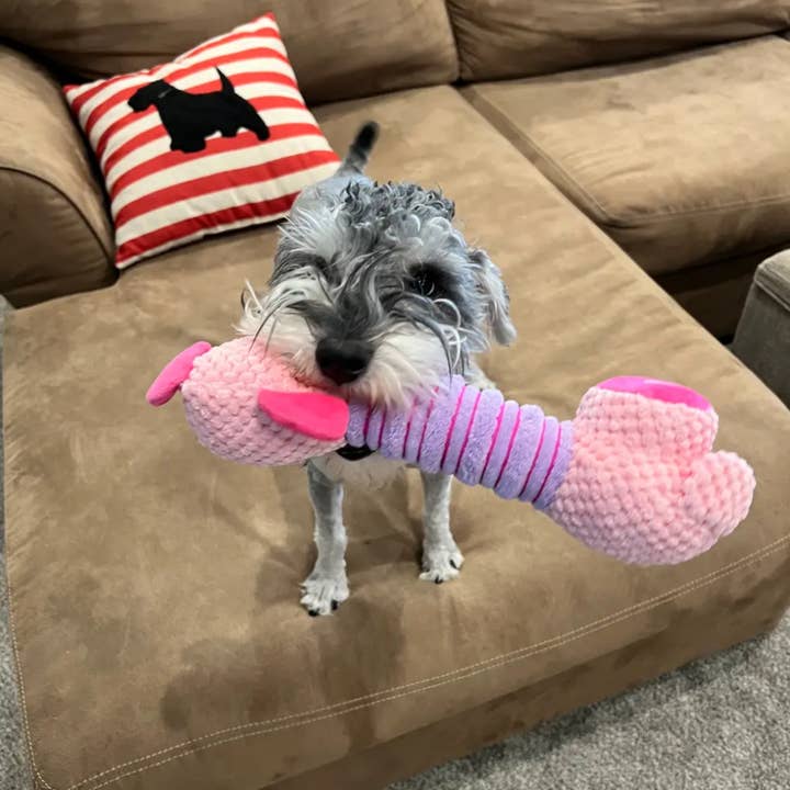Green Waves Co. - Wholesale Pet Plush Toy - Dog - Piggy Plush Toy
