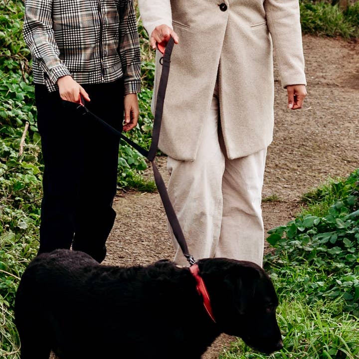 Love Leash for wholesale by The Love Leash