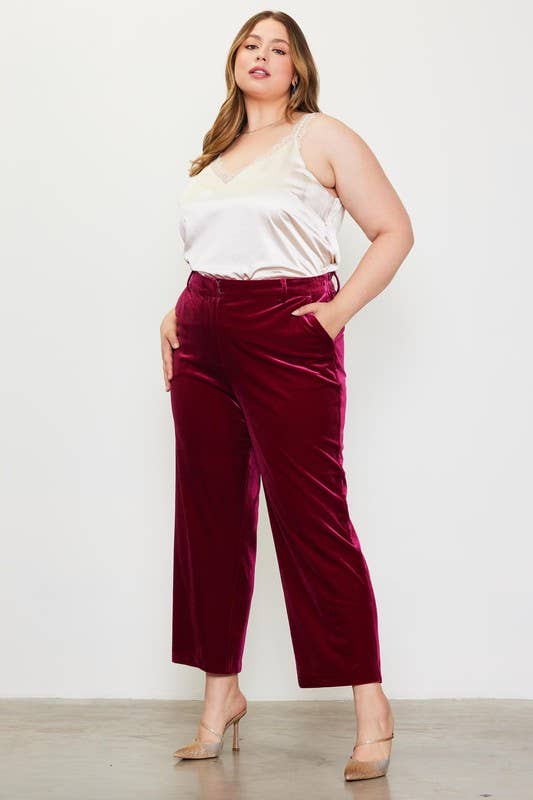 SKIES ARE BLUE - Wholesale Pants - Women's - Plus Size Velvet Straight Fit Pants4