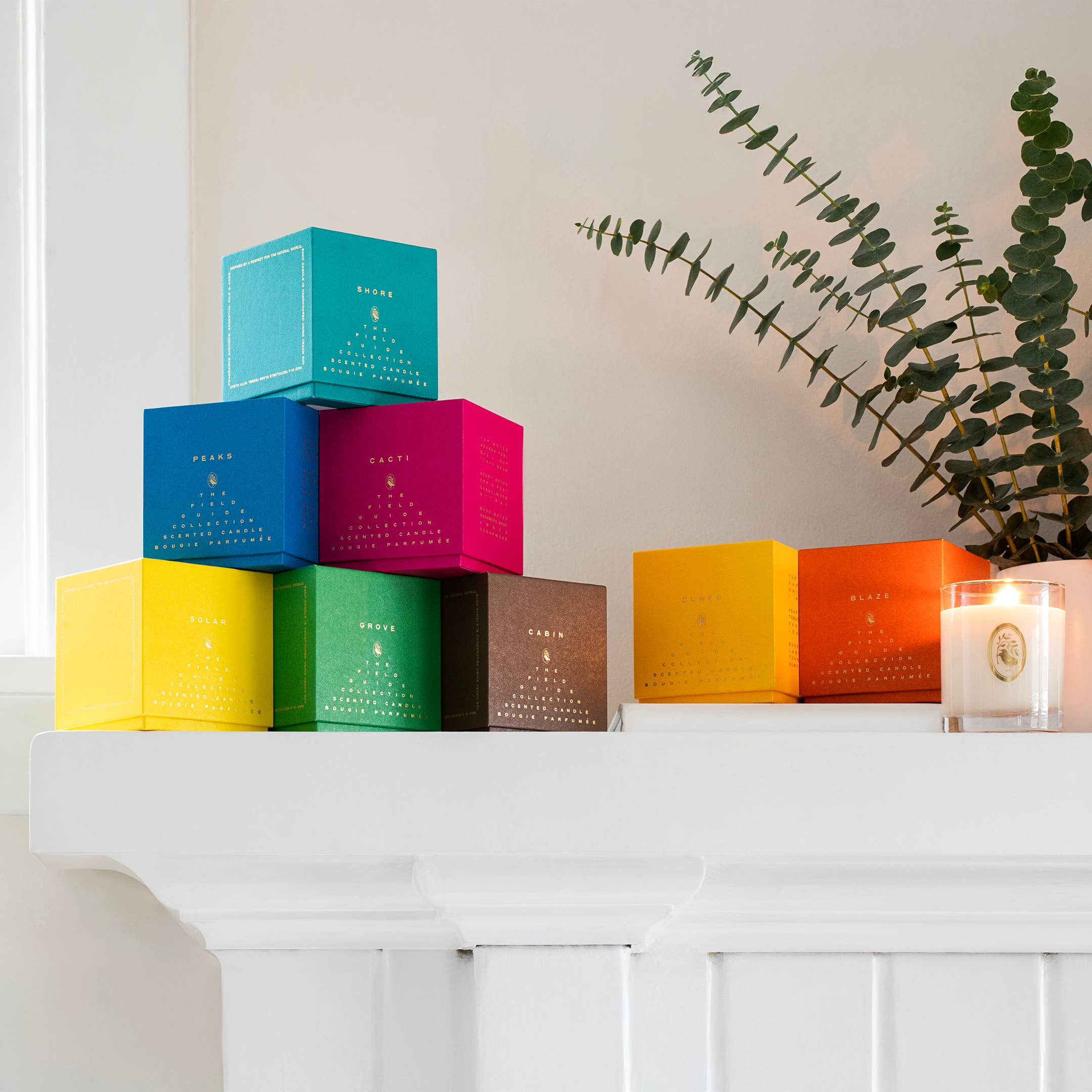 Field Guide Essentials - Vente Bougie en bocal - Bougie Signature Blaze en Cire de Soja3