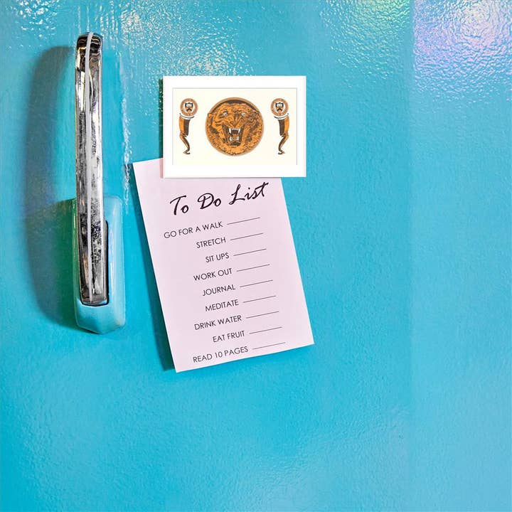 Found Image Press – Íman por atacado – Íman NJ-467 Tigre de Princeton e Bandeirolas1