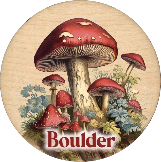 Standish House - Wholesale Ornament - Cow Christmas ornaments, Funny gift, cute, western style17