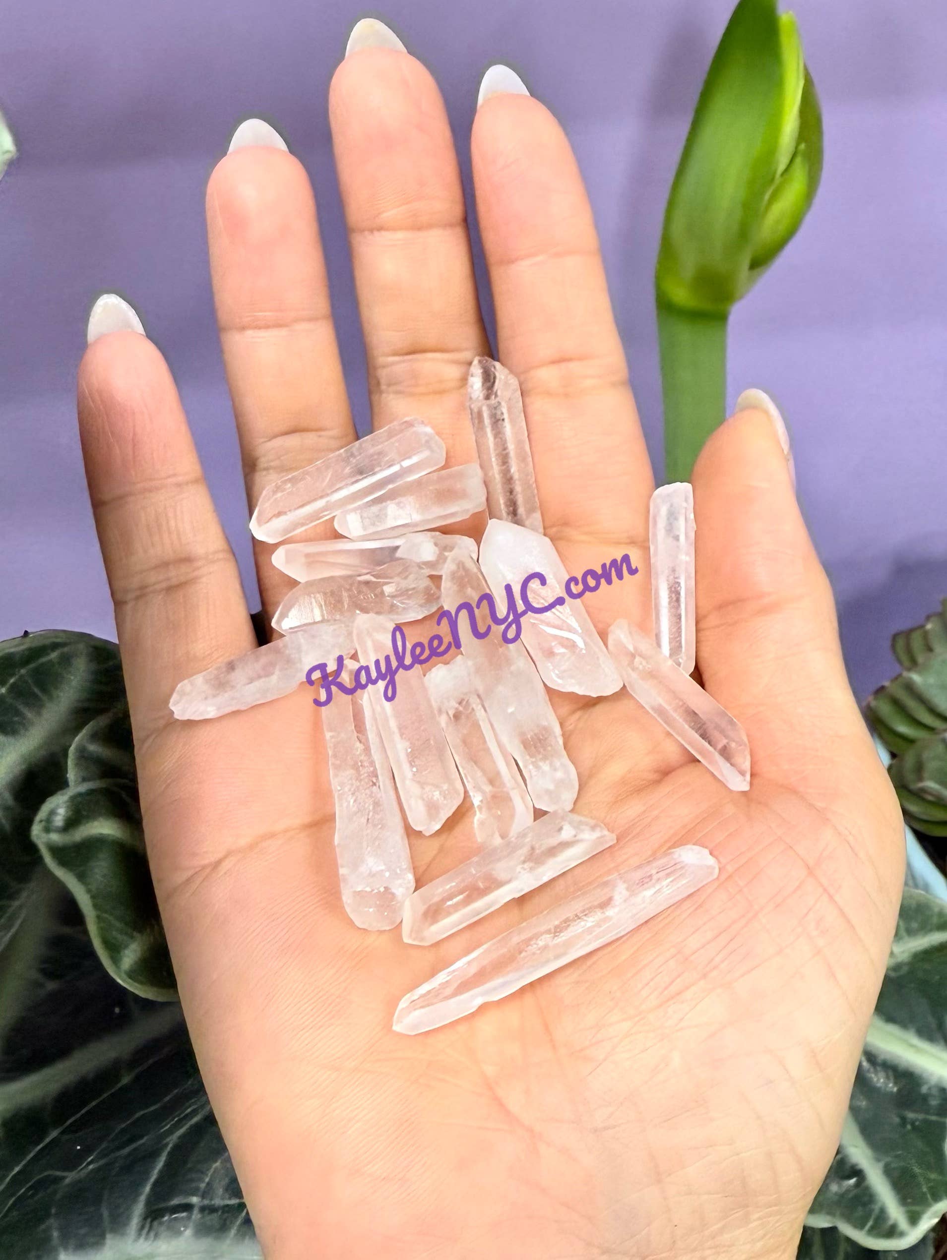 KayleeNYC - Wholesale Spiritual Stone/Crystal - 1 Lb Natural Lemurian Quartz small Wand Raw Crystal4