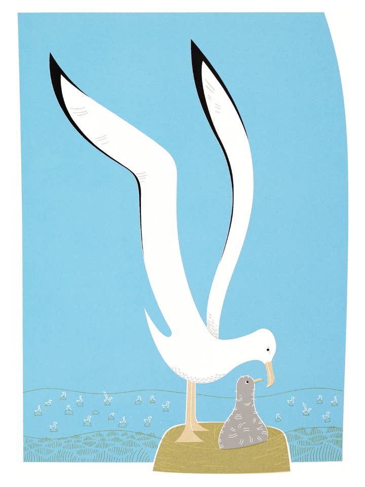 Albatross kort för wholesale av Artisans & agency