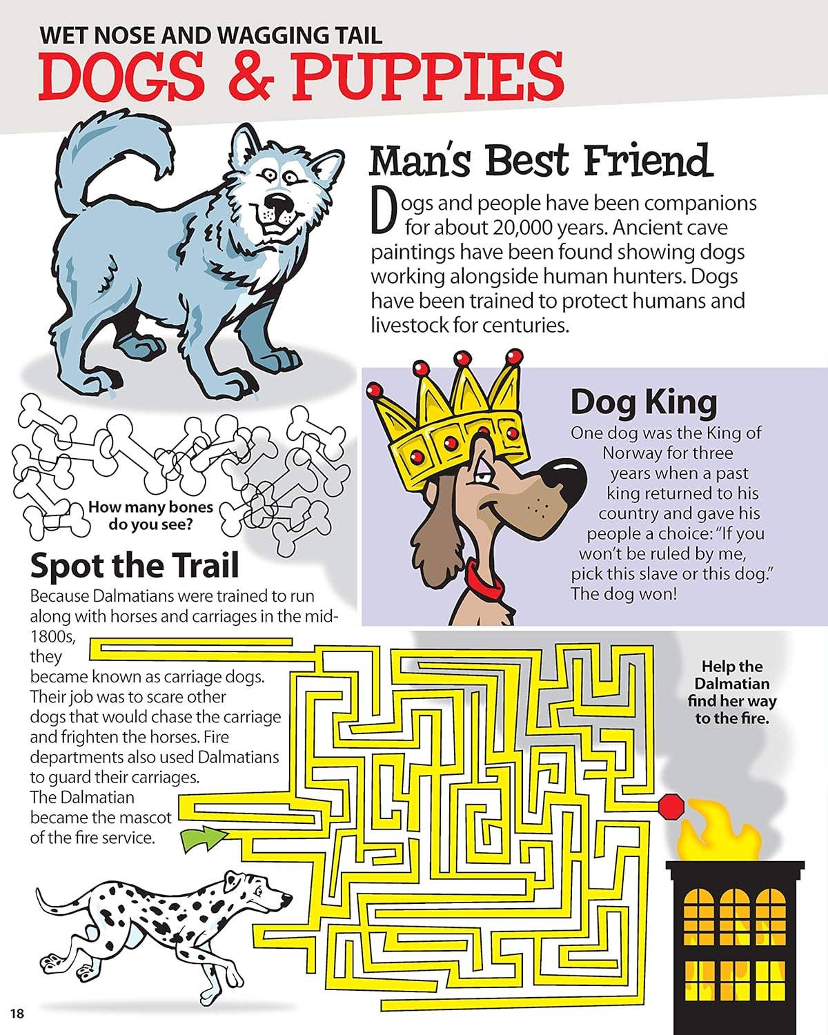 Fox Chapel Publishing - Wholesale Coloring & Activity Book - Kids & Baby - Mind-Boggling Animal Puzzles - Children's Activity Book2