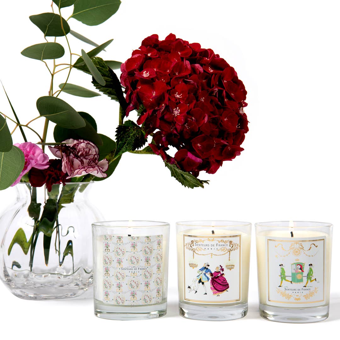 Senteurs De France – Großhandel Kerze im Glas / gefüllte Kerze – Duftkerze mit Orangenblüten-Motiv Marie Antoinette3
