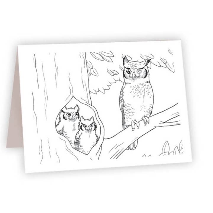 Coloring Card - Owl for wholesale by Ahava River Cards, Books & Decor