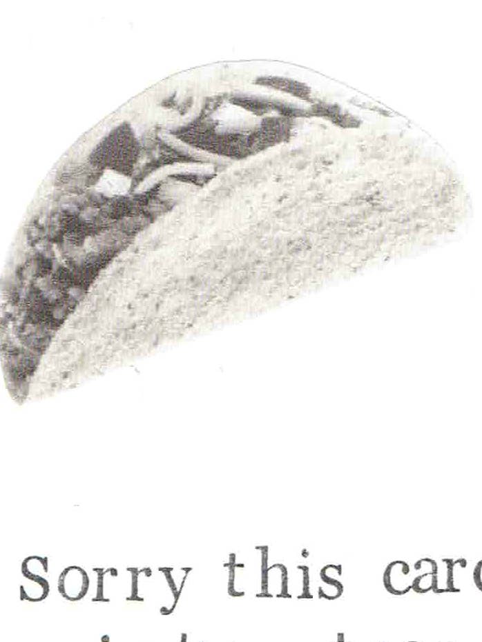 Sorry This Card Isn't A Taco Funny Birthday Card | Food Humor Weird for wholesale by BlueSpecsStudio