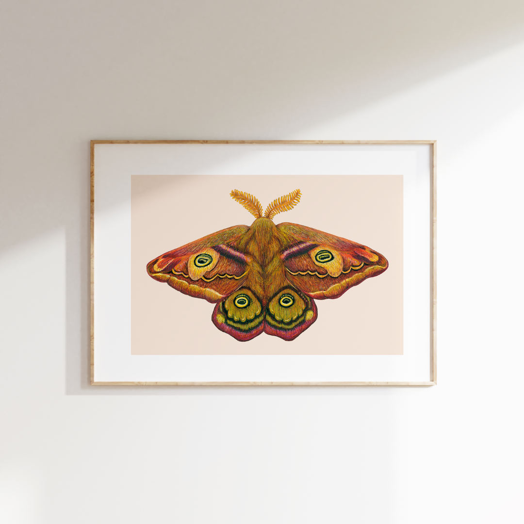 Studio Binck - Wholesale Kunstprint - Kunstdruk DE DERDE KEIZER0