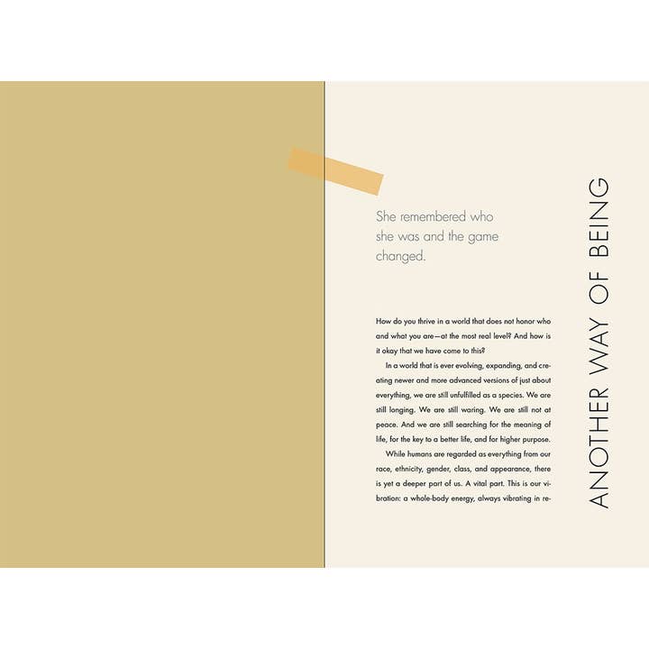 HarperCollins - Wholesale Self-Help & Personal Development - Vibrate Higher Daily: Lalah Delia2