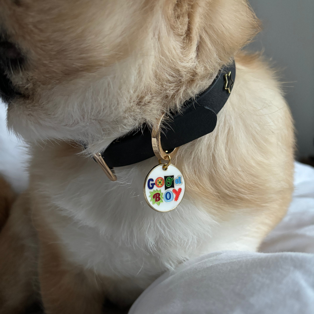 Furei Pets – Etiqueta de coleira - Cão por atacado – Plaquinha 'Good Boy' para Cachorro3