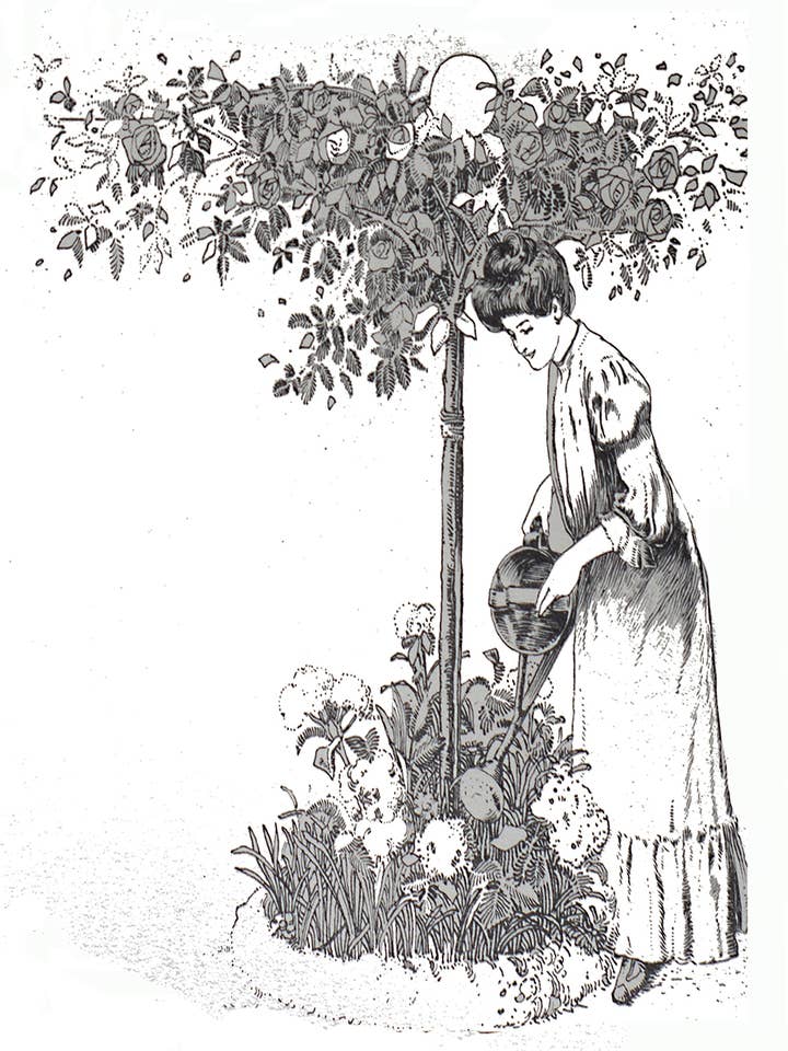 Hvordan vokser din have? -Antik reproduktion/Blank kort for engroshandel hos Something To Write Home About