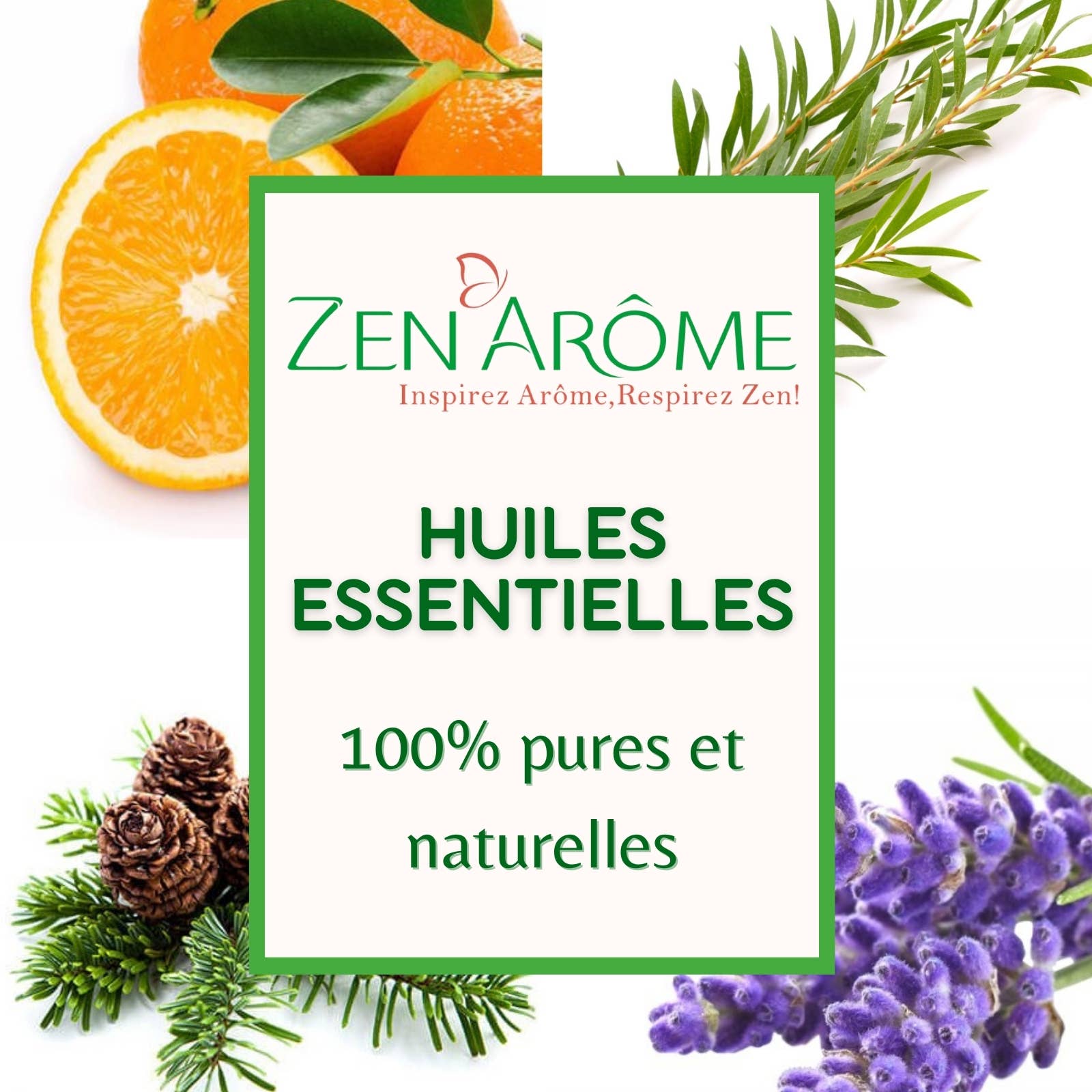 Zen'Arôme - Wholesale Essential Oil - 6 Essential Oils + 1 Free Storage Kit2