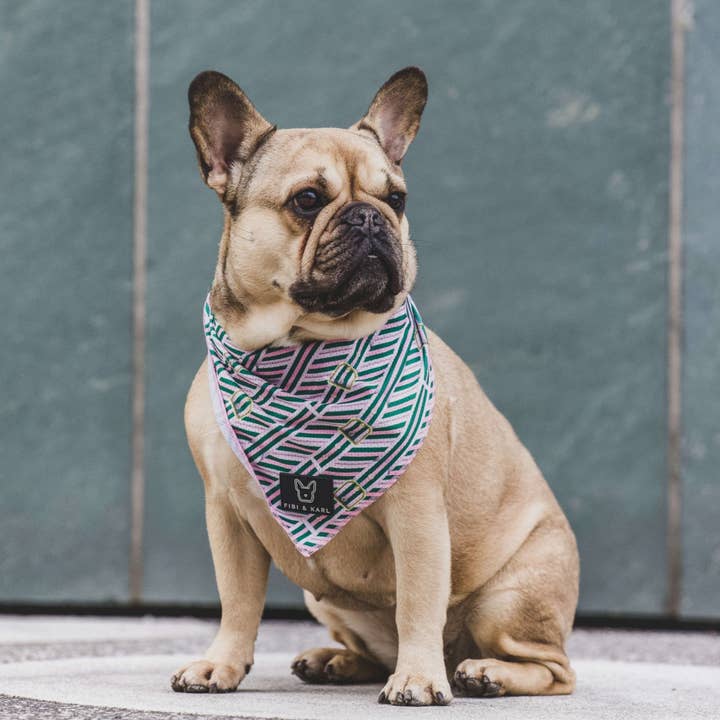 Fibi & Karl - Wholesale Pet Bandana - Dog - FK Beltington Power Dog Scarf Pink1