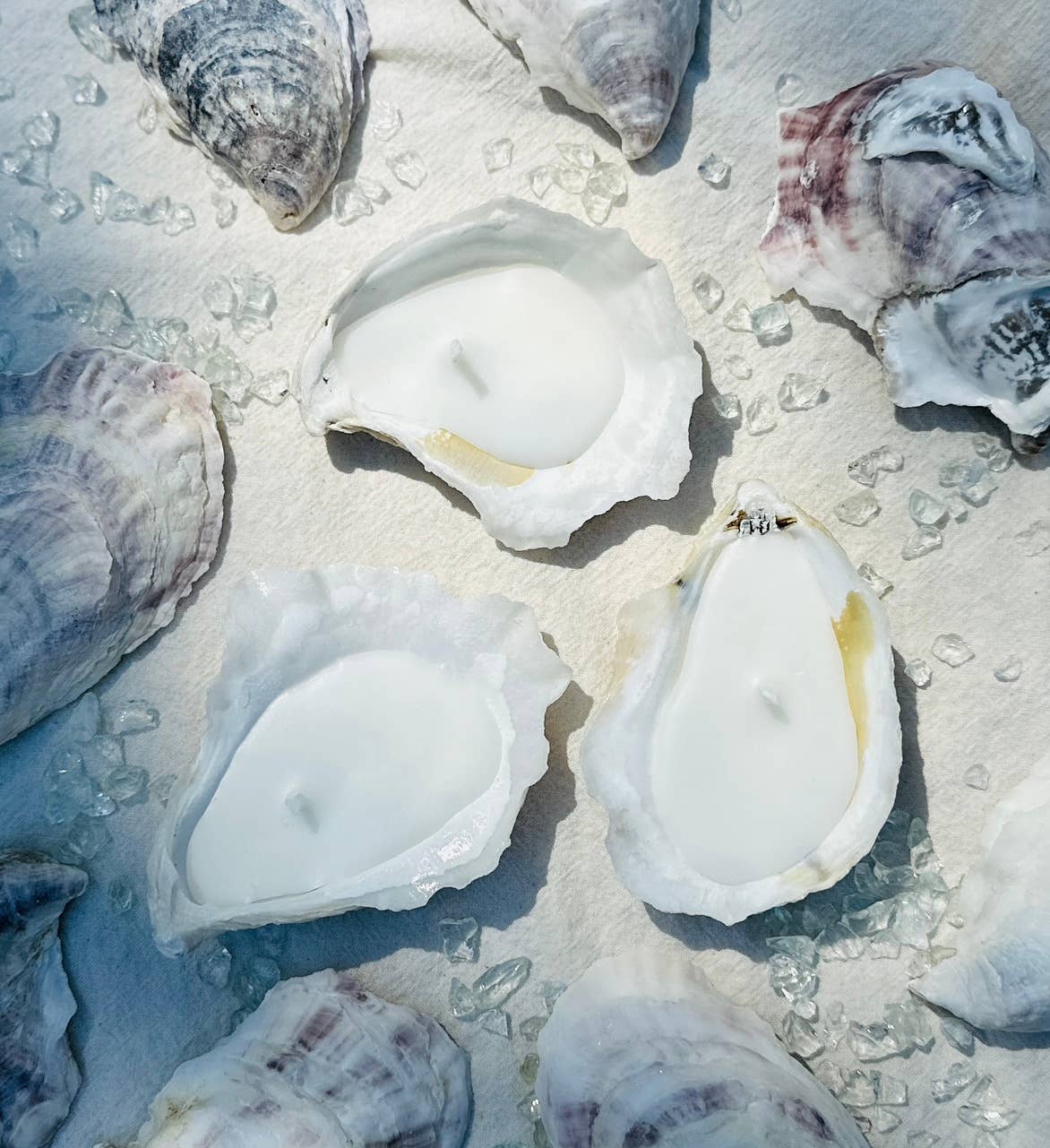 Martini Candle Co. - Vente Bougies originales - Bougie Coquille d'Huître Parfumée Originale Fait Main en Cire d'Abeille et Soja2