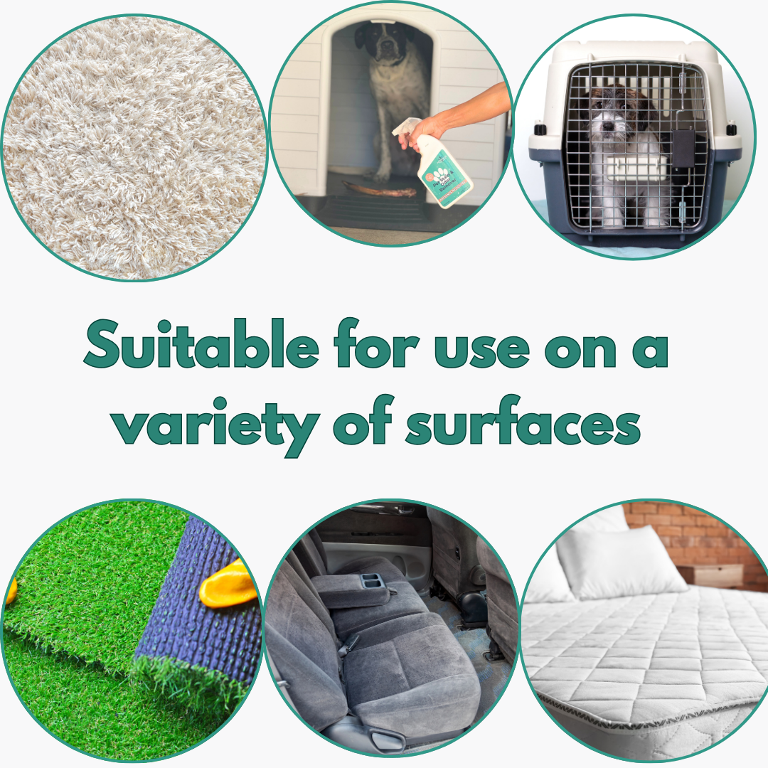 NOYATECH - Wholesale Pet deodorising spray - NOYATECH Pet Stain and Odor Remover - Enzyme Carpet Cleaner and Pet Odor Eliminator for Home. Safe for Pets and kids.6