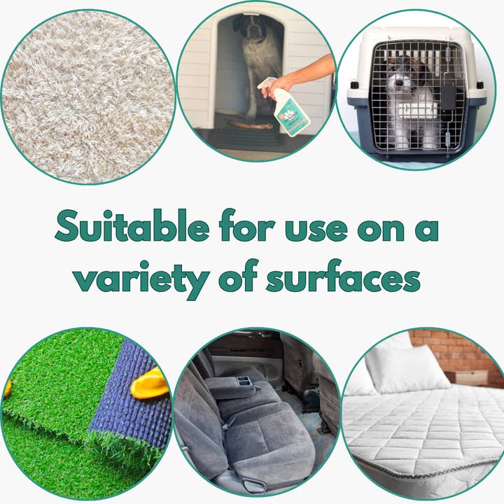 NOYATECH - Wholesale Pet Deodorizing Spray - NOYATECH Pet Stain and Odor Remover - Enzyme Carpet Cleaner and Pet Odor Eliminator for Home. Safe for Pets and kids.6