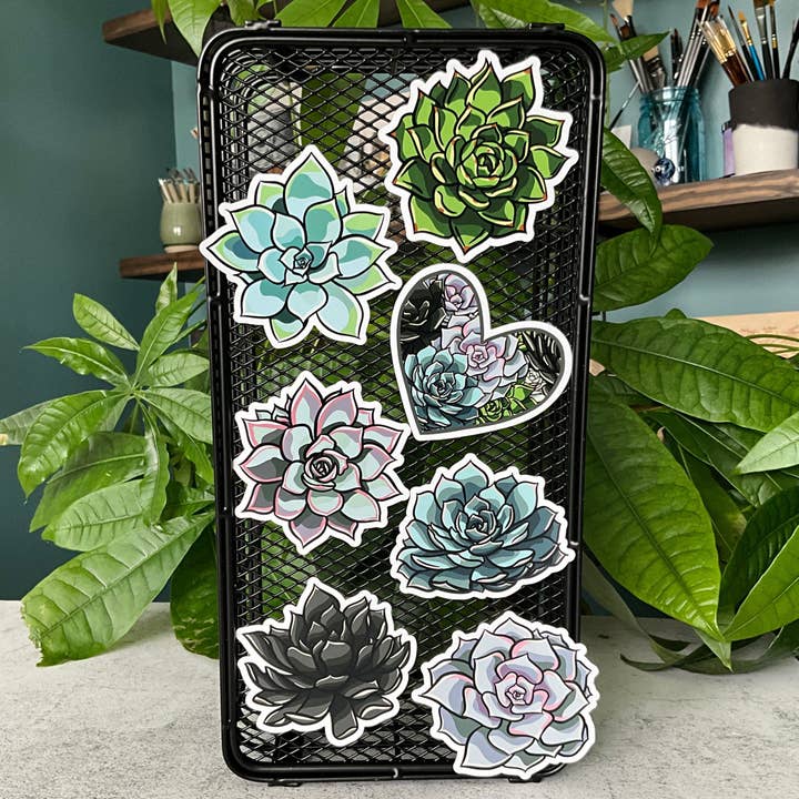 Succy Succulent Magnet Set for wholesale by Everyday H2O