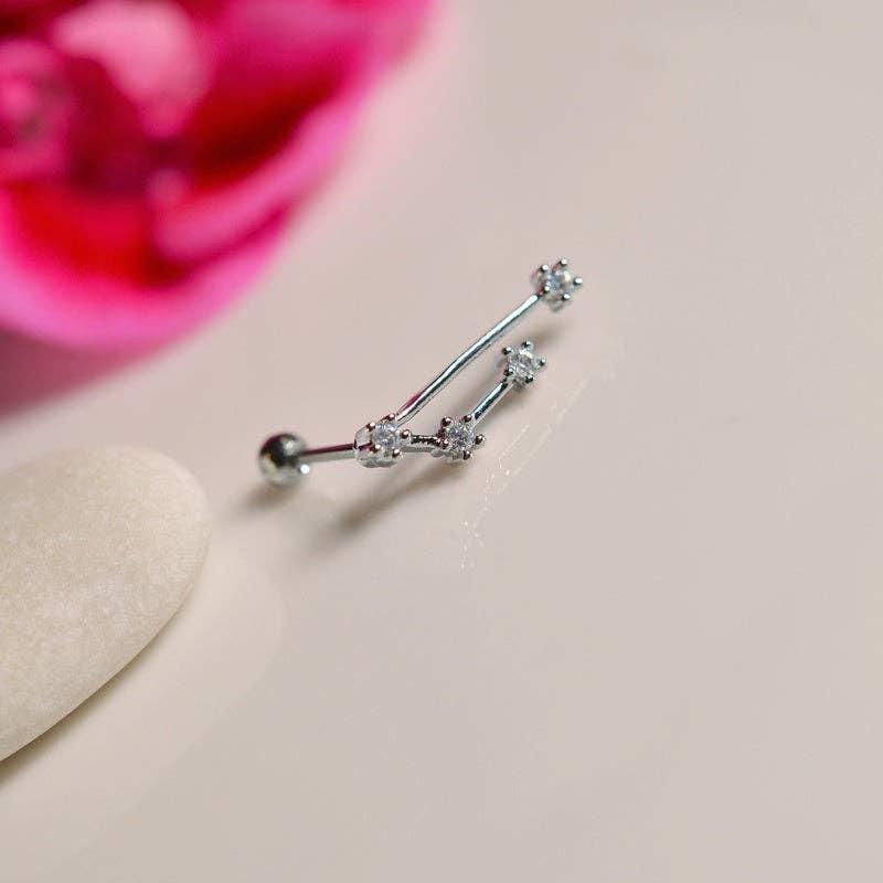 StockJWL - Wholesale Stud/Post Earrings - 12 Zodiac Earrings, Constellation Stud Earring Stud Piercing Tragus Helix Lobe and Cartilage Silver And Gold12