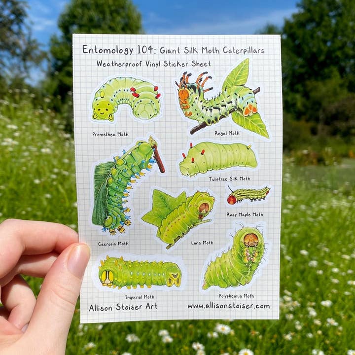Entomology 104: Giant Silk Moth Caterpillars A6 Weatherproof Vinyl Sticker Sheet (4.1" x 5.8") for wholesale by Allison Stoiser Art