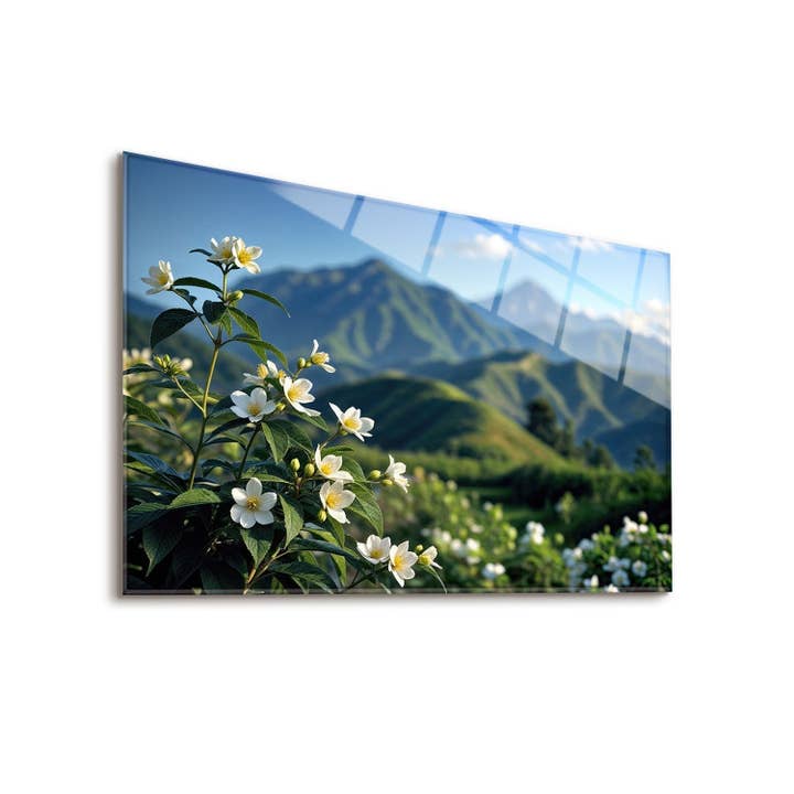 Flou pour la vente par NOXART LLC