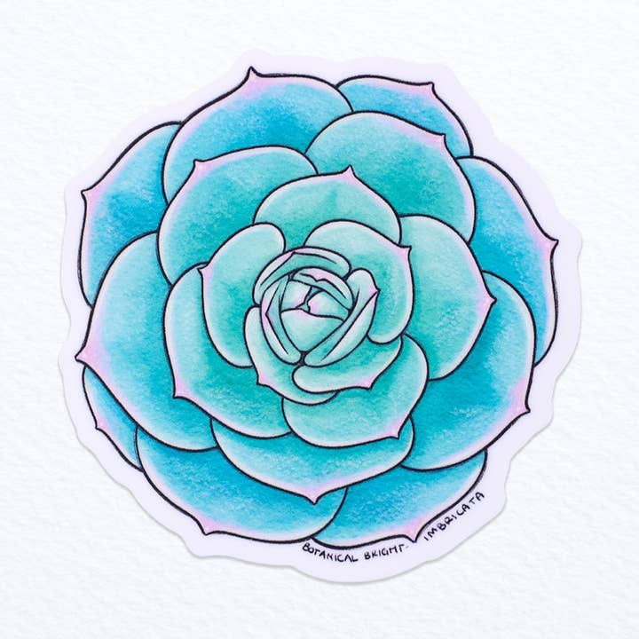 Succulent Echeveria Imbricata Waterproof Vinyl Sticker for wholesale by Botanical Bright