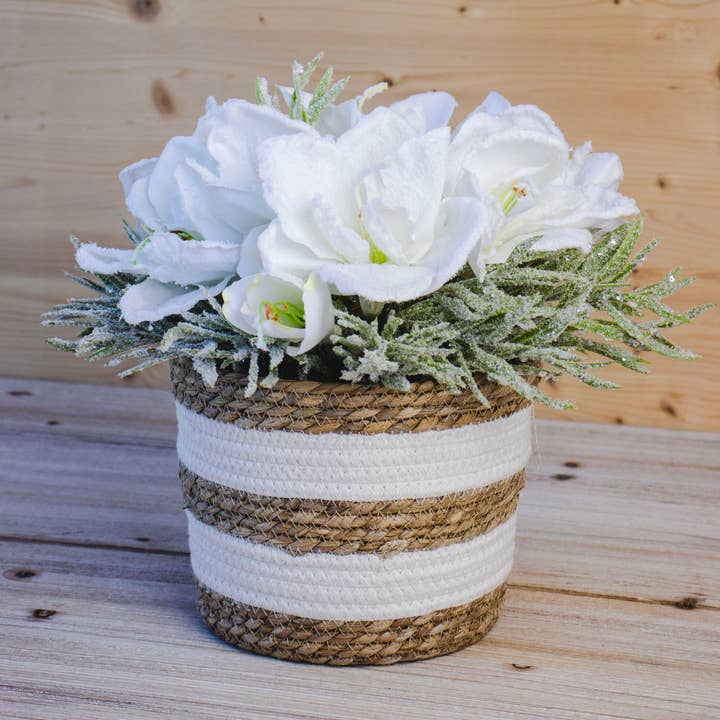 B&P Italia - Wholesale Basket - Natural white and natural braided cattail baskets2