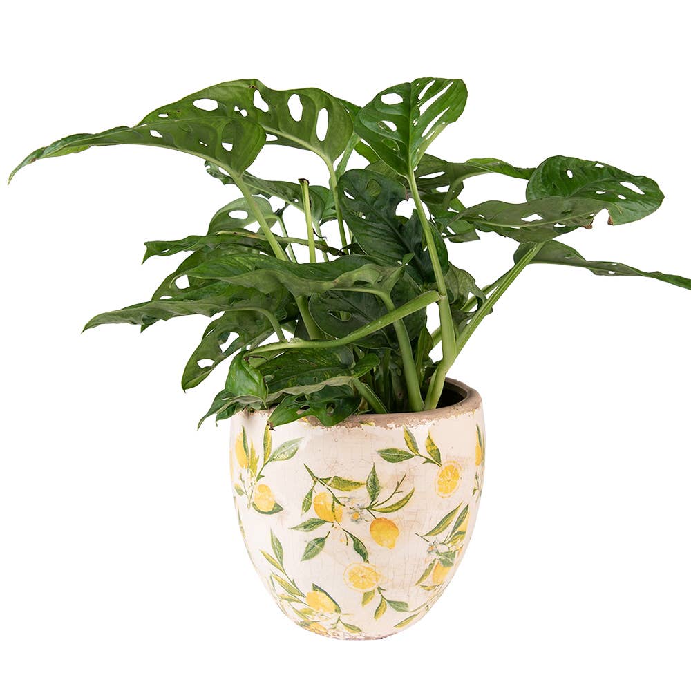 Clayre & Eef – Großhandel Blumentopf – 6CE1532S Pflanzgefäß Ø 13x12 cm Gelb Keramik Zitrone Innenbereich1