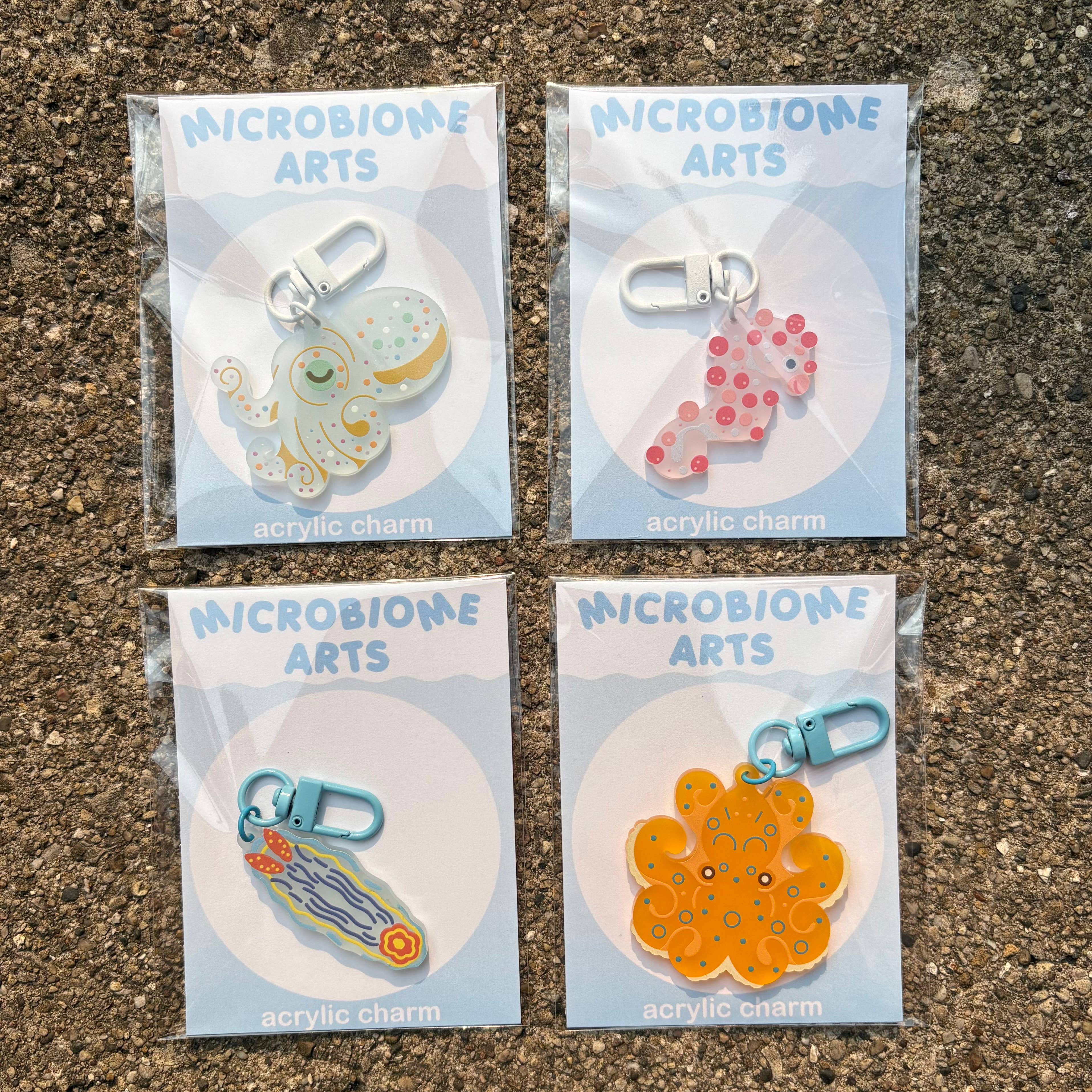 Microbiome Arts - Wholesale Keychain - Unisex - Frosted Acrylic Sea Life Charms5