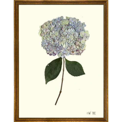 Homegrown Art Co - Wholesale Art Print - Mosaic Violet Pressed Hydrangea XII - Framed Botanical Art Print1