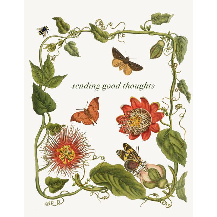 P. Flynn Design / Phun House – Großhandel Grußkarten für den Alltag – Gute Gedanken senden (Blätter) • A-2 Grußkarte