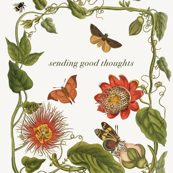 P. Flynn Design / Phun House - Wholesale Everyday Greeting Card - Sending Good Thoughts (leaves) • A-2 Greeting Card