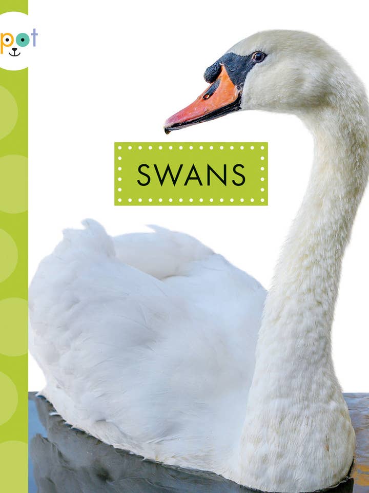 Schwäne für den Großhandel von Amicus Publishing