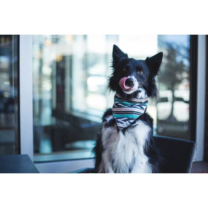Sam & Nala | intentional style for pets & their people – Bandana - Cão por atacado – Bandana para Cão Flutter By – Feito à Mão & Comércio Justo1