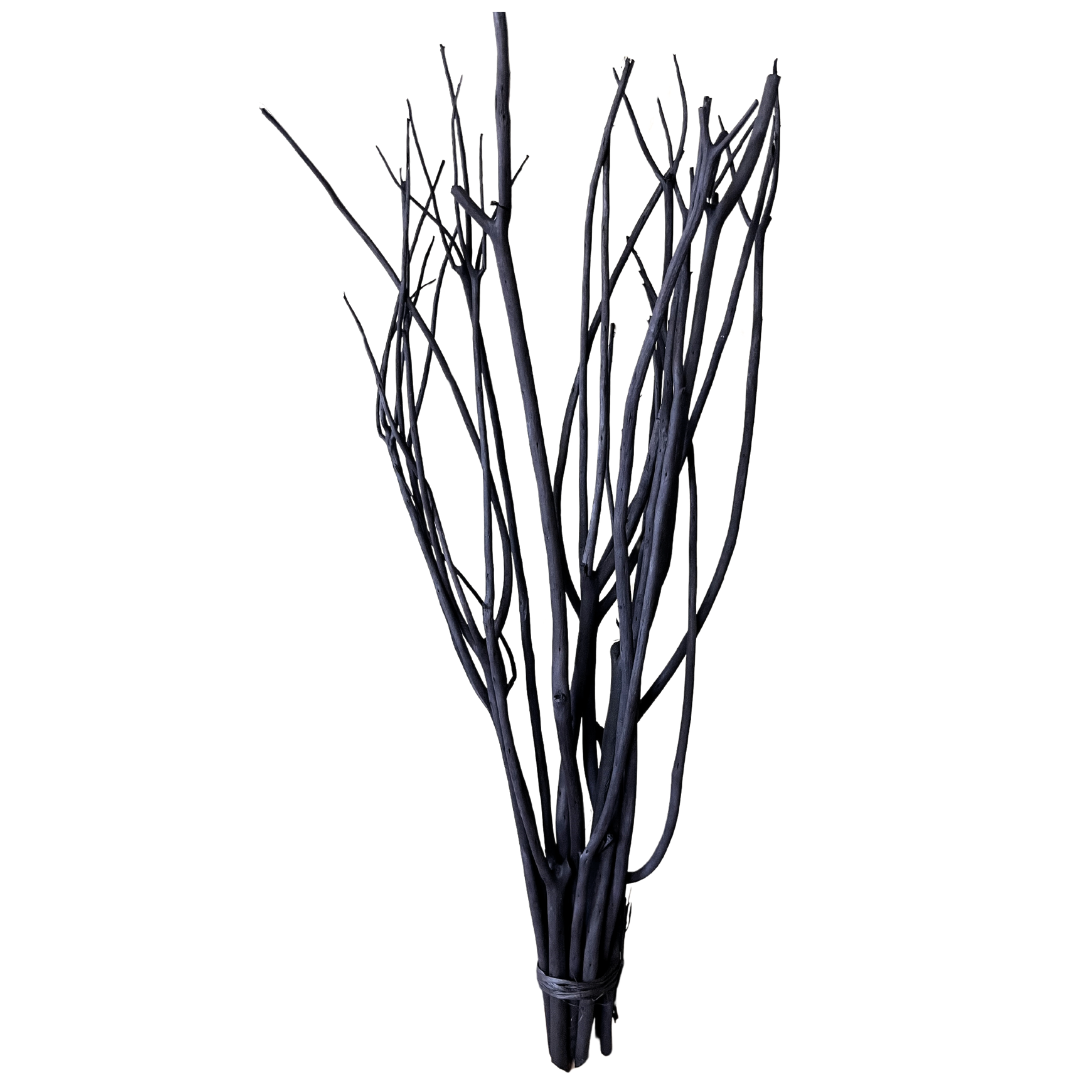 Botanico Ltd. - Wholesale Dried/Pressed Flowers - Mitsumata Branches1