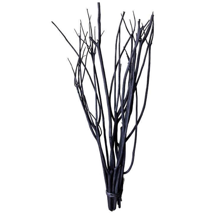 Botanico Ltd. - Wholesale Dried/pressed flowers - Mitsumata Branches1