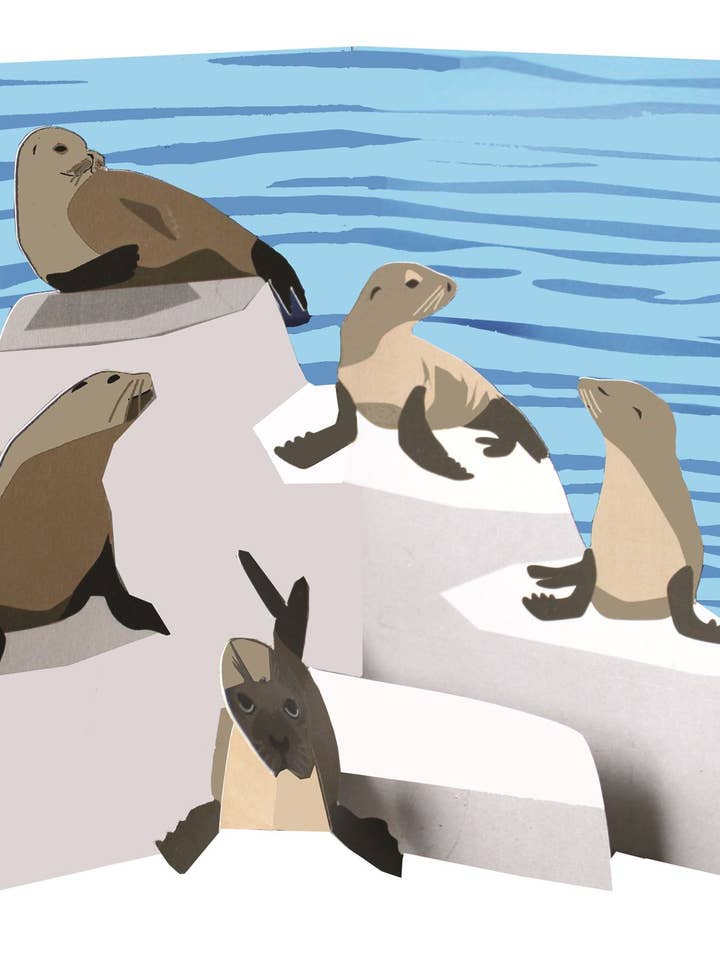 Créatures marines : Phoques - 2toTango - Seconde nature pour la vente par Second Nature Ltd