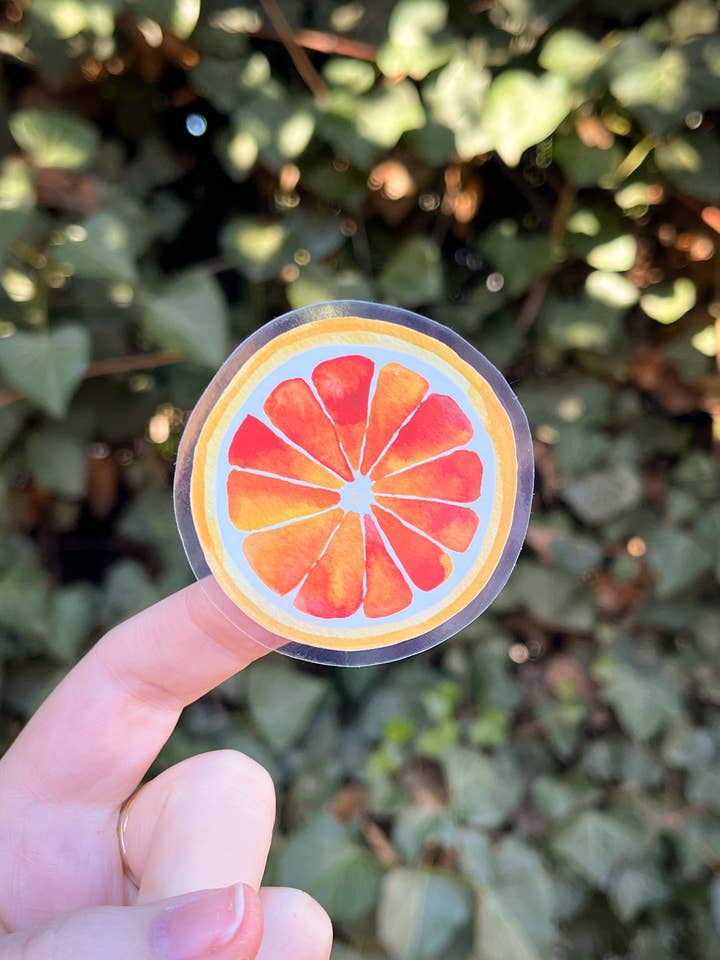 Orange slice watercolor stickers for wholesale by Hannah Moore Art