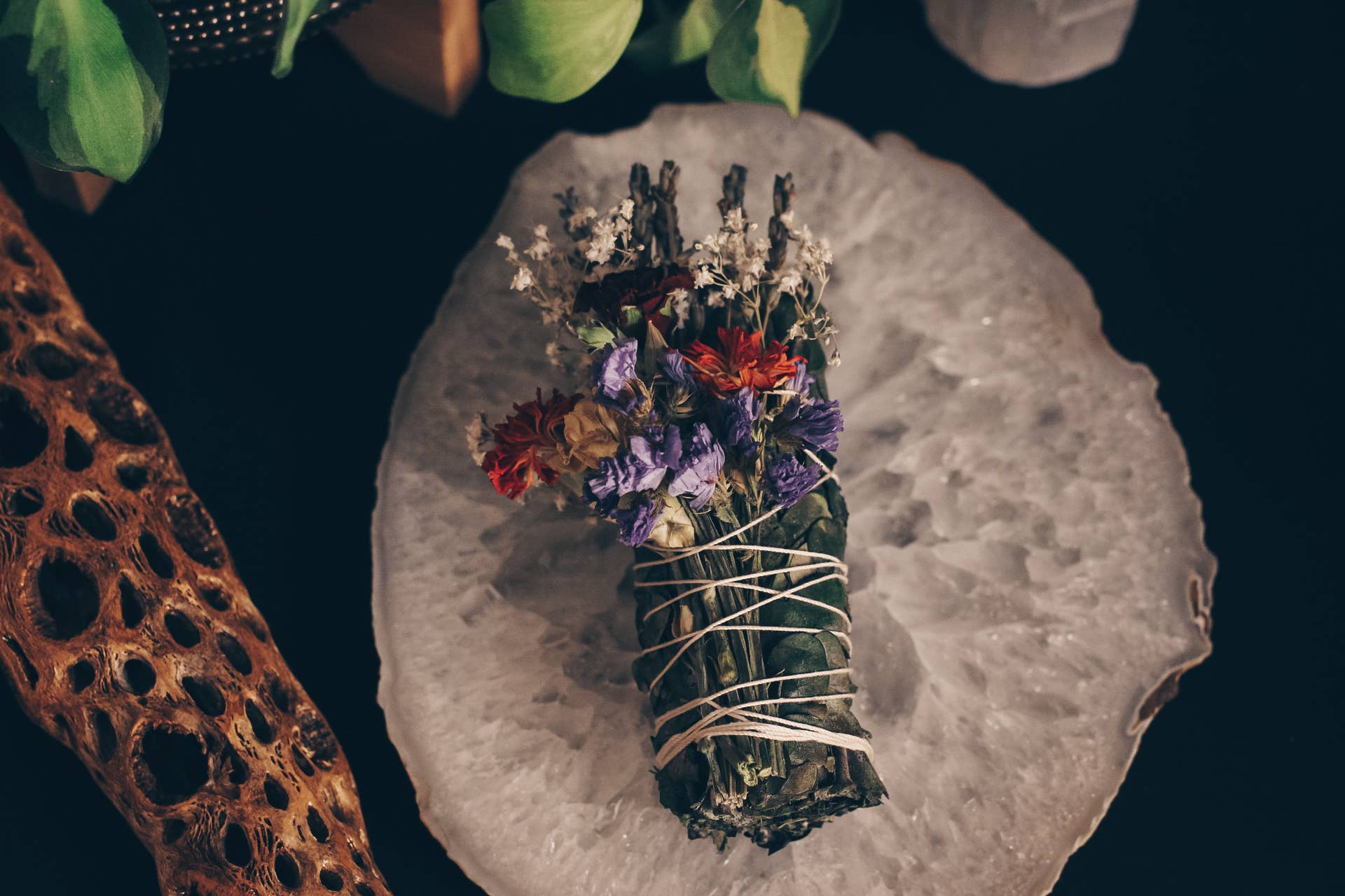 Yolia Botanica - Wholesale Sage Bundle - Eucalyptus Bundles - Smoke Cleansing - No White Sage1