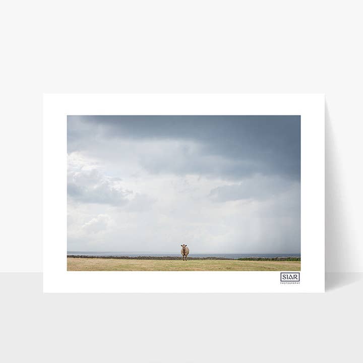 Einsamer Ranger für den Großhandel von SIAR Photography